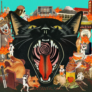Cat Out Of Hell , Fantastic Cat