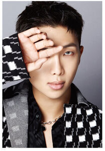 Dicon D'Festa BTS - Rm - 88pg Deco Book w/  4 Deco Stickers + 5pc Photo Card Set [Import] 