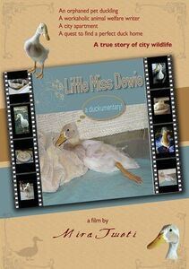 Little Miss Dewie: A Duckumentary