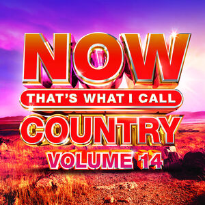 Now Country Vol. 14 (Various Artists)