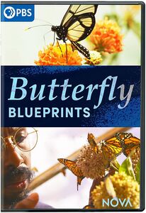 NOVA: Butterfly Blueprints