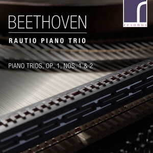 Piano Trios 1 1 & 2 , Rautio Piano Trio