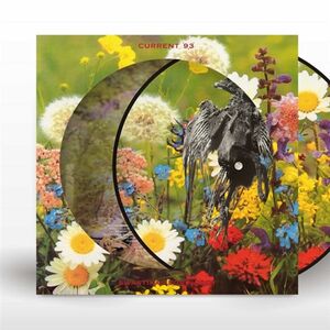 Swastikas For Noddy , Current 93