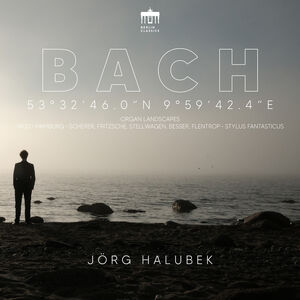 Organ Landscapes: Hamburg , Jorg Halubek