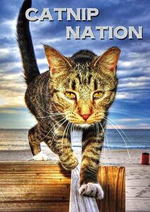 Catnip Nation