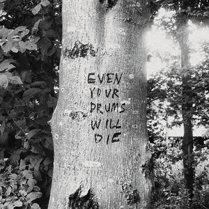 Even Your Drums Will Die: Live at Pendarvis Farm 2011 , Richard Swift
