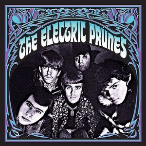Stockholm 67 , The Electric Prunes