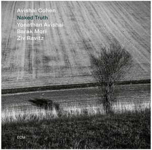 Naked Truth , Avishai Cohen