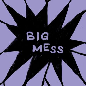 Big Mess , Public Body