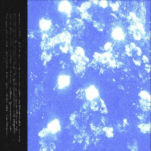 Trhä - T​á​lcunnana D​ë​hajma Tun Dejl B​ë​natsë Abcul​'​han Dlhenic Ëlh Inagat, Jahadlhë