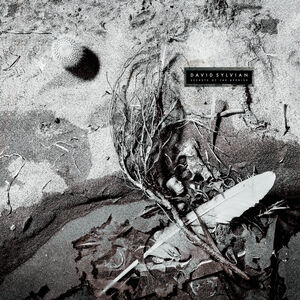 Secrets of the Beehive - Yellow Opaque Black , David Sylvian