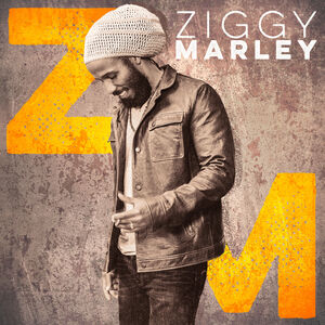 Ziggy Marley , Ziggy Marley