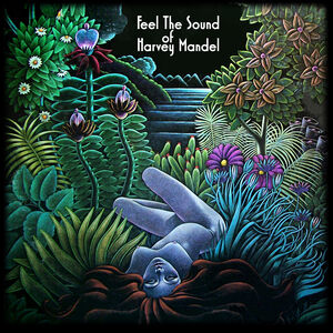 Feel the Sound Of Harvey Mandel , Harvey Mandel