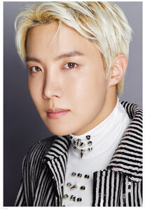 Dicon D'Festa BTS - J-Hope - Rm - 88pg Deco Book w/  4 Deco Stickers + 5pc Photo Card Set [Import] 