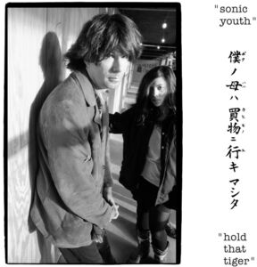 Sonic Youth Hold That Tiger on ImportCDs