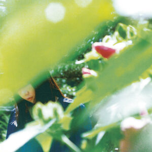 Spring Lovers