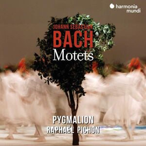 Bach: Motets