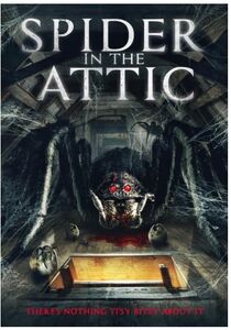 Spider in the Attic