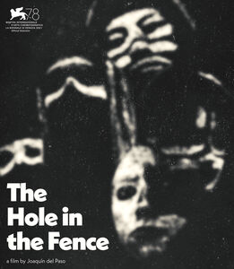 The Hole In the Fence