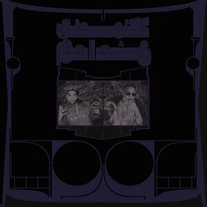 Exotic Birds of Prey , Shabazz Palaces