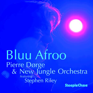 Bluu Afroo , New Jungle Orchestra
