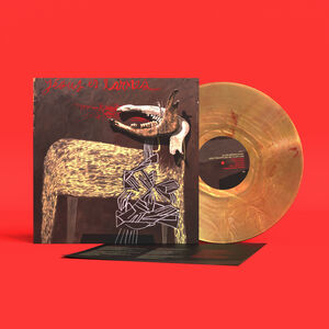 With Trampled By Turtles - Sunflare , Alan Sparhawk