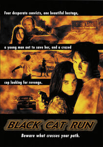 Black Cat Run