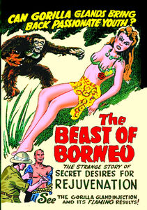 The Beast of Borneo , John Preston