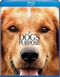 A Dog's Purpose