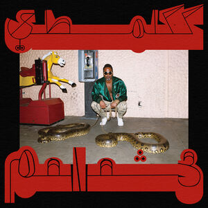 Robed in Rareness , Shabazz Palaces