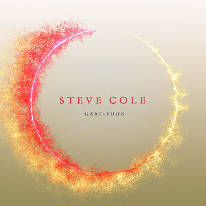 Gratitude , Steve Cole