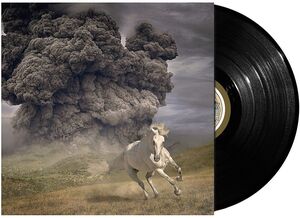 Year Of The Dark Horse , The White Buffalo