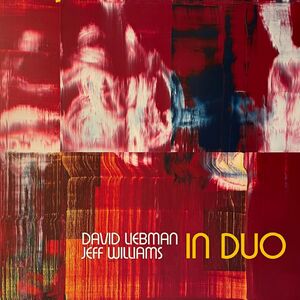 In Duo , Dave Liebman