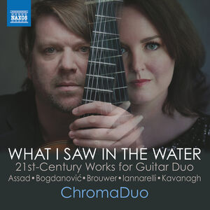 Assad, Bogdanovic, Brouwer, Iannarelli & Kavanagh: What I Saw in the Water , ChromaDuo