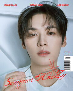Dicon Volume N21 Stray Kids : Summer Krazy [A-Type] 02 Skz Lee Know