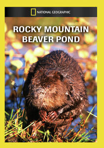Rocky Mountain Beaver Pond , Richard Kiley