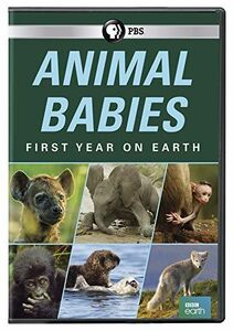 Animal Babies: First Year On Earth