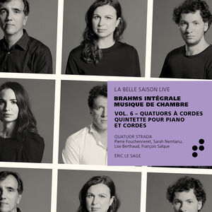 Integrale Musique de Chamber 6 , Sage Quatuor Strada