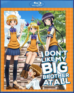 I Don't Like My Big Brother At All!