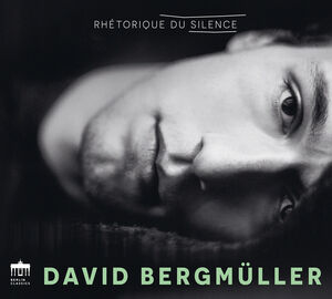 Rhetorique Du Silence , David Bergmueller