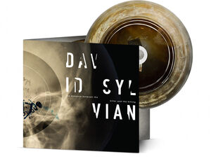 The Distance Between the Killer and the Killing , David Sylvian