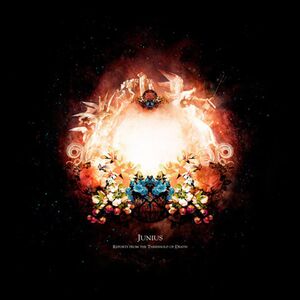 Reports from the Threshold of Death , Junius