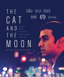 The Cat And the Moon