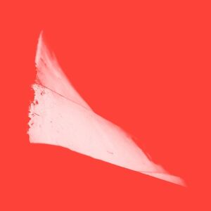 G2 44 / X2 , Phill Niblock