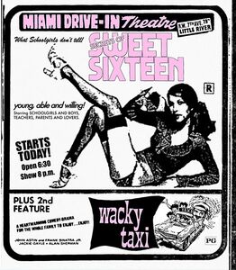 Secrets of Sweet Sixteen /  Wacky Taxi (Drive-in Double Feature #11)
