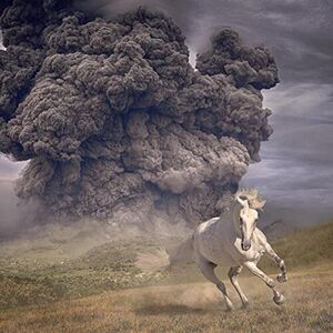 Year Of The Dark Horse , The White Buffalo