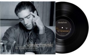 Me Estoy Enamorando , Alejandro Fernandez