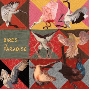 Birds of Paradise - Pink , Thomas Dollbaum