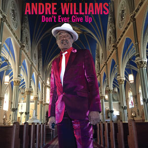 Don't Ever Give Up , Andre Williams