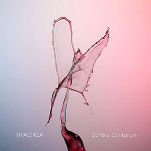 Trachea , Various Artists